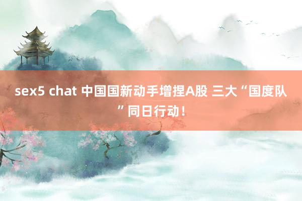 sex5 chat 中国国新动手增捏A股 三大“国度队”同日行动！