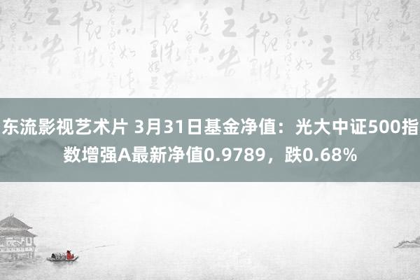 东流影视艺术片 3月31日基金净值：光大中证500指数增强A最新净值0.9789，跌0.68%